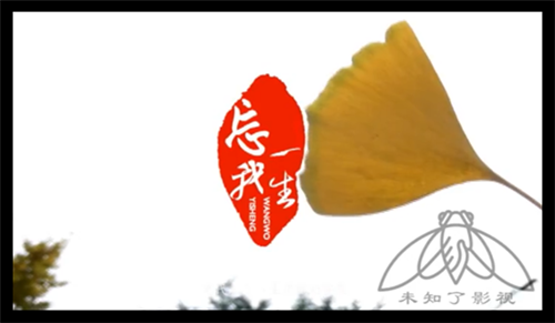 人物专题记录片-王泽萼